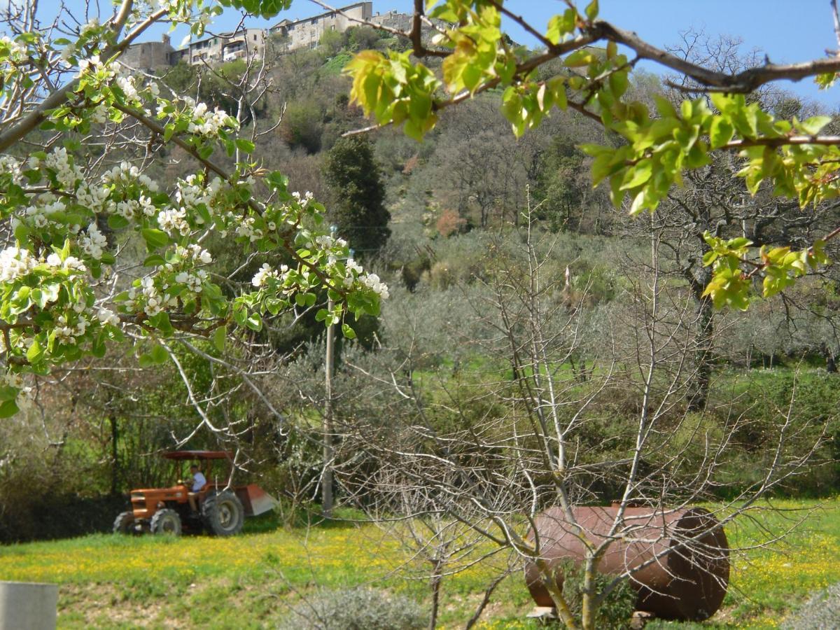 B&B I Montanari Itieli Bagian luar foto
